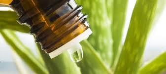 Alege uleiul de canabis de pe cbdshop.ro si ai produse 100% naturale calitate premium cele mai bune preturi livrare in toata tara! Beneficii Ulei De Canabis