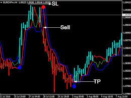 Download Forex Neuro Trend Indicator For Mt4 L Forex Mt4 Indicators Forex Coin Market Forex Trading