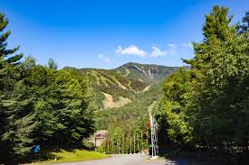 Downhill track controversy