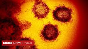 Daha hızlı yayıldığı tespit edilen mutasyonlu virüsün birçok ilde görüldüğü duyuruldu. Koronavirus Asisi Bulunduktan Sonra Virusun Mutasyona Ugramasi Durumunda Neler Olabilir Bbc News Turkce