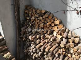 Check spelling or type a new query. Bois De Chauffage Quelles Essences D Arbres Choisir
