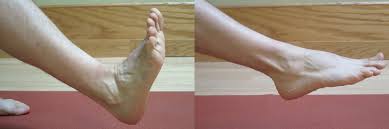 This exercise can be done a number of times a day. Ankle Sprains Intermediate Phase Part Ii Of Iii The Physical Therapy Advisor