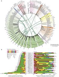 Watch jodi peterson movies | watch jodi peterson tv shows. Perspective On Oncogenic Processes At The End Of The Beginning Of Cancer Genomics Cell