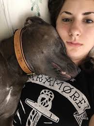 Questions that pet owners might be able to answer: What inspired you to get  a pet, and how did you choose the one you have?