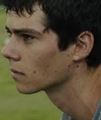 Discover 28 ੈ✩‧₊˚thomas and Dylan and dylan o'brien ideas in 2025