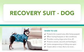 Suitical Recovery Suit For Dogs Black