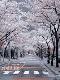 Kumpulan 20+ gambar pemandangan yang indah di indonesia. Yerin Kukk Pemandangan Foto Wisata Pemandangan Kota