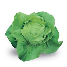 Check spelling or type a new query. Lattuga Varieta E Consigli Sulla Coltivazione Di Piante Da Orto