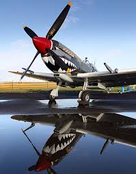 A Shark Mouthed Wwii British Spitfire Wwii Airplane Art Wwii Airplane Vintage Aircraft