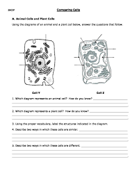 Comparing Cells Worksheet
