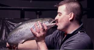 18.09.2020 · atlantic sapphire will launch phase two of construction at its homestead site in 2021. Tasty Salmon Florida Fresh Craig Medred