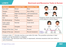 Learnhive Icse Grade 10 Biology Basic Biology Genetics