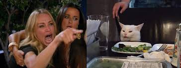 Woman Yelling At A Cat Hd Meme Upscale Woman Yelling At A Cat White Cat Meme Woman Meme Cat Memes