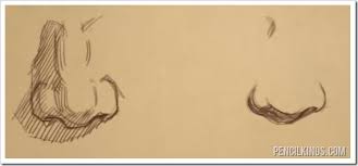 Create some shadows using soft pencil, which will give volume to your drawing, making the nose look more. Get Ahead With This Nose Drawing Tutorial