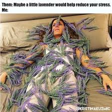 A Little Lavender For Stress Funny Relatable Memes Funny Pictures Funny Jokes