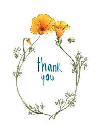Hnadmade California Poppy 5x7 Thank You Cards Greeting Card Hand Drawn Hand Lettered By Marenannear California Poppy California Poppy Drawing Poppy Drawing