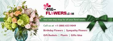 We did not find results for: 416 Flowers Order Send Flowers Online Home Facebook