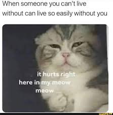 When Someone You Can T Live Without Can Live So Easily Without You Ifunny Funny Memes Tumblr Funny Memes About Girls Anime Memes Funny