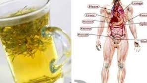 Zeg Vaarwel Tegen Lupus Artritis Vertigo Chronische Vermoeidheid Schildklier Problemen En No Chronic Fatigue Chronic Fatigue Syndrome Diet Thyroid Problems