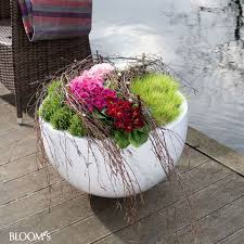 Design Bloom S Deko Ideen Mit Blumen Und Pflanzen Bepflanzung Pflanzen Krautergarten Palette