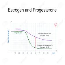 Estrogen Progesterone And Aging Chart Of Sex Hormone Production