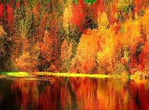 New Free Screensavers For Windows And Mac Autumn Screensavers The autumn season screensaver shows 23 beautiful images of fall scenes.