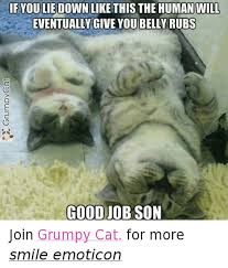 Corporate cat can see into your soul. If You Lie Down Like This The Human Will Eventualivgive Youbelly Rubs Good Job Son Join Grumpy Cat For More Smile Emoticon Cats Meme On Ballmemes Com