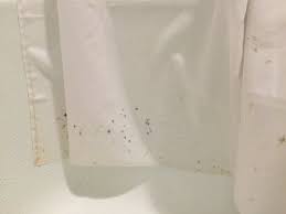 Hyatt place east moline quad cities. Black Dots Appear On Shower Curtain It Should Not Happen In High End Hotel Like This Picture Of Hyatt Regency San Francisco Tripadvisor