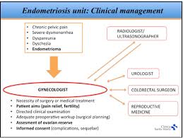 In this article, glenda barber writes about being diagnosed with stage 4 endometriosis after before i dive into my own experiences with stage 4 endometriosis, i think it's important to start off by saying that everyone's experience with the disorder. Multidisciplinary Laparoscopic Management Of Deep Infiltrating Endometriosis From 2010 To 2017 A Retrospective Cohort Study Medwave