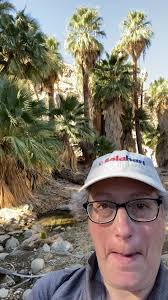 The Substance Palm Trees