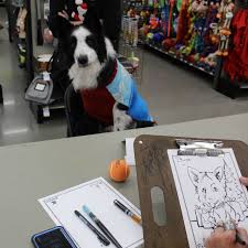 Buying a dog from a pet store is so, what's it like to buy a dog, and what are the things you need to know before purchase? Petco Patriot Place