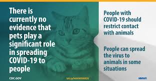 First Reported Cases Of Sars Cov 2 Infection In Companion Animals New York March April 2020 Mmwr