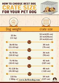 dog crate size chart to fit your puppy hellow dog