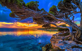 We did not find results for: Mother Nature Hd 2880x1800 Wallpaper Teahub Io