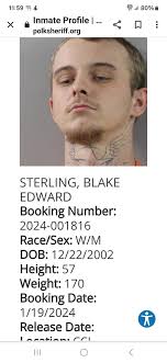 I once was a victim to her fraudulent activities. She wrecks havoc in  peoples lives. The whole Polk County community needs to know about her. I'm  glad they finally got her.