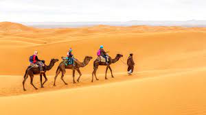 Maybe you would like to learn more about one of these? Pilgrims May Soon Be Able To Imitate Hijrah To Madina On Camel Backs Islam Hashtag