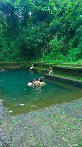 Pin By Ann Solomon On Kerala Nature Quotes Beautiful Green Nature Quotes Nature