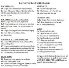 Dogs Dna Color Chart