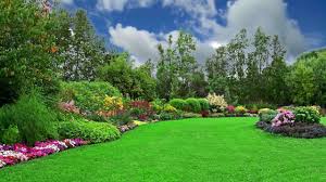 Beautiful Natural Flower Garden Background Video 1080p Green Screen Video Backgrounds Green Background Video Photo Background Images Hd