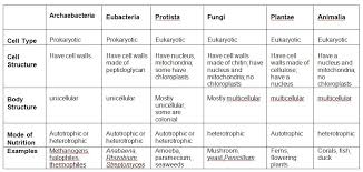 Science The 5 Kingdoms Of Life Cosubdernpers Diary