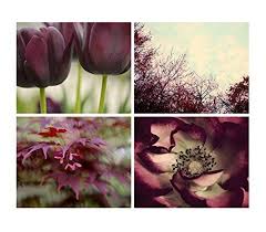 Bedroom wall decor ideas will help you to stylize a bedroom that will be a welcome sight after a hard day's work. Amazon Com Nature Photography Set Of 4 Pictures Burgundy Wall Art Botanical Decor Dark Red Cottage Chic Art Pictures 5x7 8x10 11x14 12x16 16x20 25 Off Discount Handmade