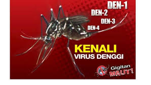 Sup ayam baik dikonsumsi sebagai makanan penurun panas demam karena mampu menyediakan nutrisi dalam jumlah besar yang dibutuhkan tubuh saat sakit. Ina Biorich Definisi Demam Denggi Demam Denggi Adalah Facebook