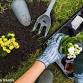 Gardening Group for Disabled People *Booking Only event image