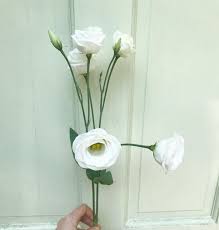 We did not find results for: Candler Park Flowers Home Facebook