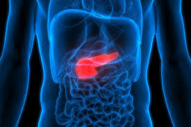 La pancreatite acuta si verifica quando il pancreas. La Pancreatite Aigue Causes Symptomes Et Traitement Doctissimo