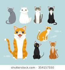 Black And White Orange Cat Sitting Cute Vector Cats White Cat Black Cat Orange Cat Brown Cat White Cat Cat Stock Brown Cat
