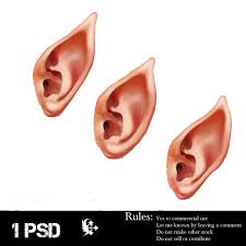 I just couldn't help but rant about this. Female Elf Ears Drawing