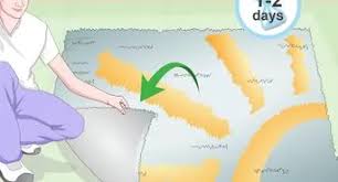 Dog urine stains on a couch may also encourage other pets in the home to mark the same spot. 3 Ways To Clean A Cowhide Rug Wikihow