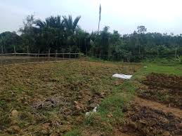 Solum) adalah bagian kerak bumi yang tersusun dari mineral dan bahan organik. Pengelolaan Lahan Sawah Untuk Menanam Cabai Steemit