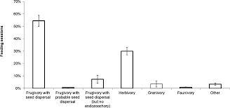 Image result for Landolphia bruneelii